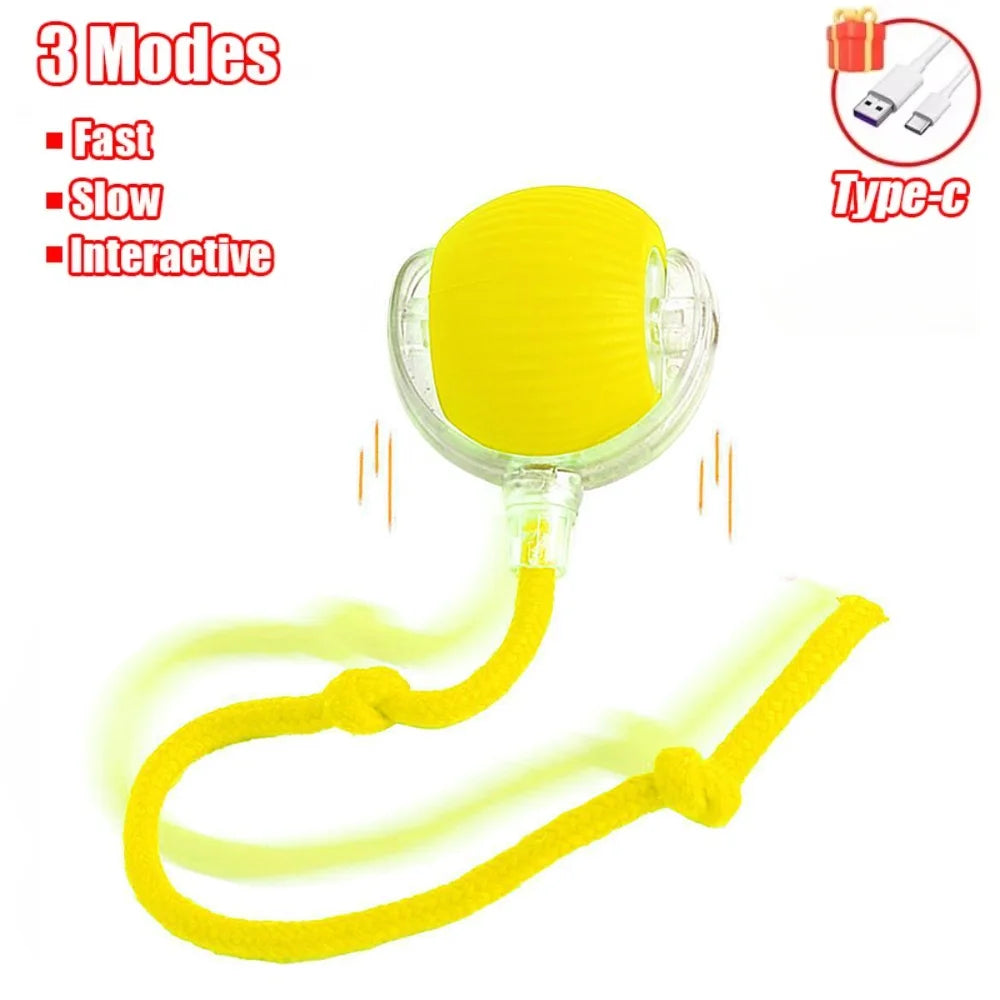 Rechargeable Cat Interactive Ball – Automatic Rolling Toy with Tail, Intelligent Mouse Simulation for Cats