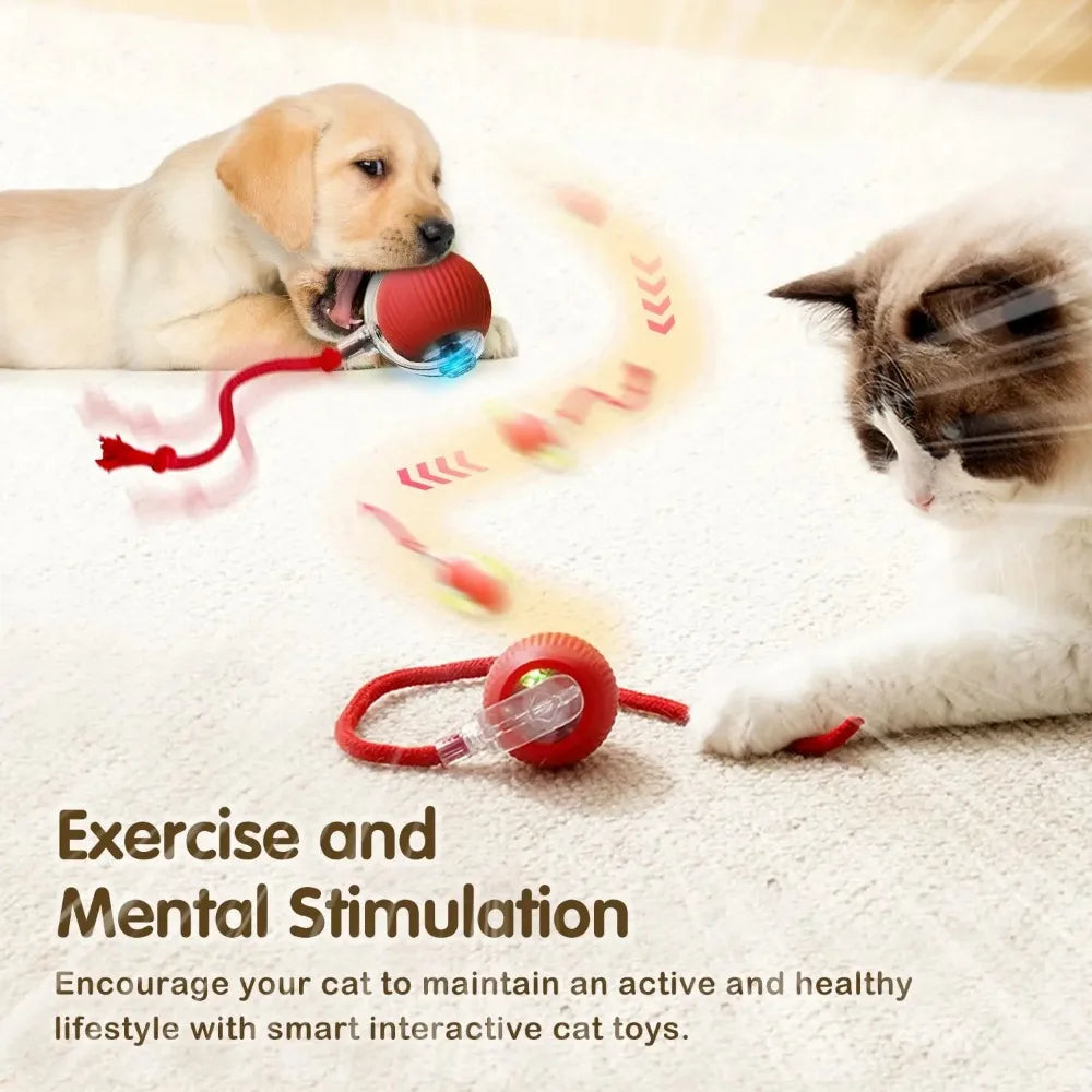 Rechargeable Cat Interactive Ball – Automatic Rolling Toy with Tail, Intelligent Mouse Simulation for Cats