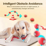 Rechargeable Cat Interactive Ball – Automatic Rolling Toy with Tail, Intelligent Mouse Simulation for Cats